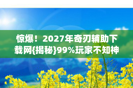 2027年奇刃辅助下载网图片