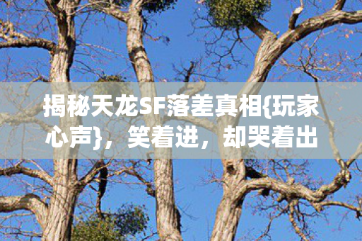 揭秘天龙SF落差真相图片