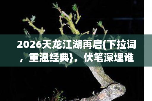2026天龙江湖再启图片