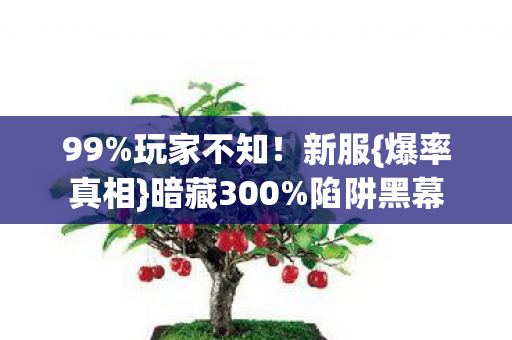 暗藏300图片