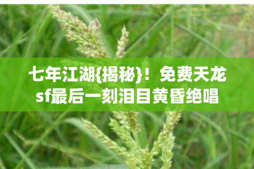 免费天龙sf最后一刻泪目黄昏绝唱图片
