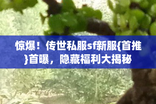 传世私服sf新服图片