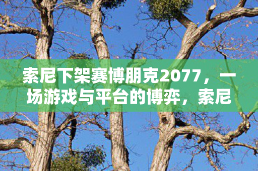 索尼下架赛博朋克2077,一场游戏与平台的博弈,索尼下架赛博朋克2077引发游戏与平台博弈 索尼下架赛博朋克2077,一场游戏与平台的博弈,索尼下架赛博朋克2077引发游戏与平台博弈