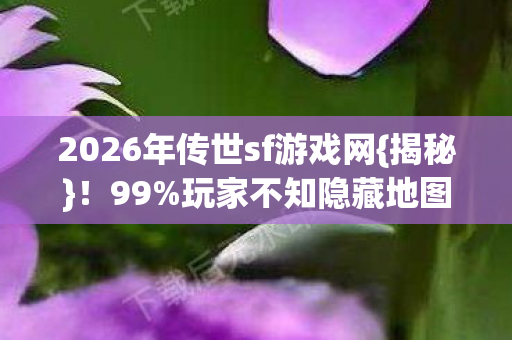 2026年传世sf游戏网图片