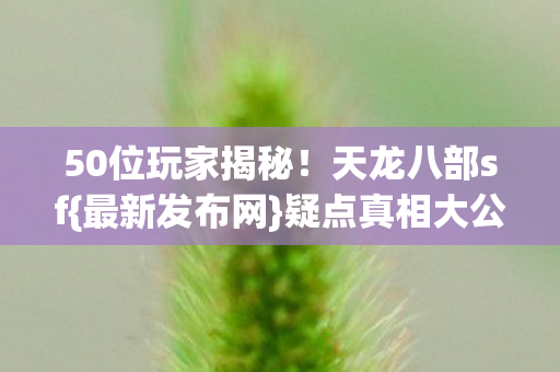 50位玩家揭秘图片