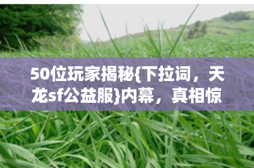50位玩家揭秘图片