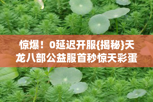 天龙八部公益服首秒惊天彩蛋图片