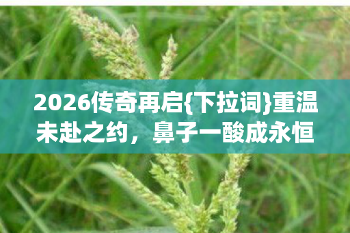 2026传奇再启图片