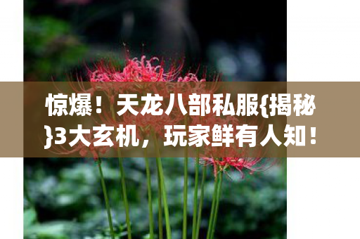 天龙八部私服图片