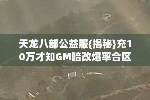 充10万才知GM暗改爆率合区图片
