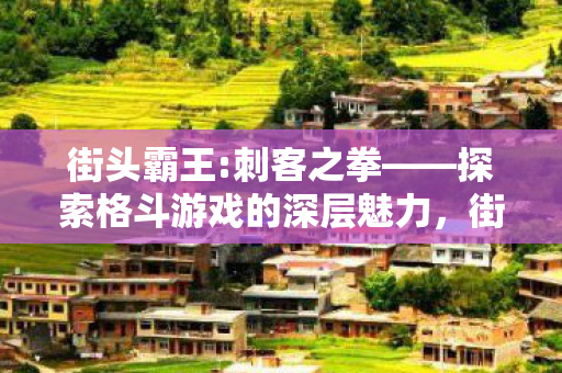 街头霸王:刺客之拳——探索格斗游戏的深层魅力,街头霸王: 刺客之拳,探索格斗游戏的深层魅力 街头霸王:刺客之拳——探索格斗游戏的深层魅力,街头霸王: 刺客之拳,探索格斗游戏的深层魅力