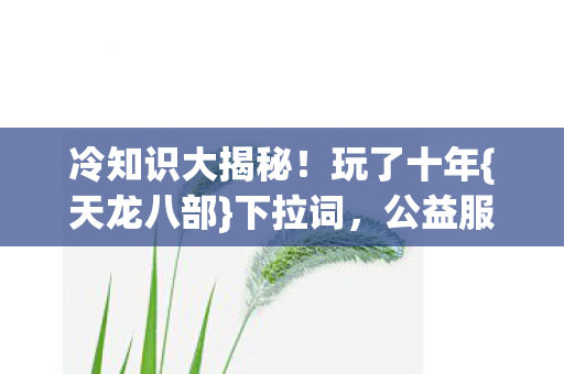 公益服惊人内幕图片