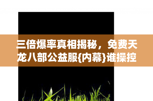 免费天龙八部公益服图片