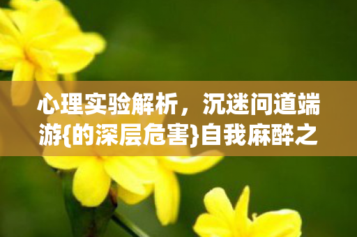 心理实验解析图片