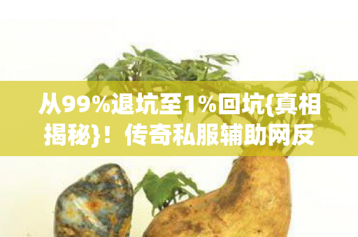传奇私服辅助网反转内幕图片