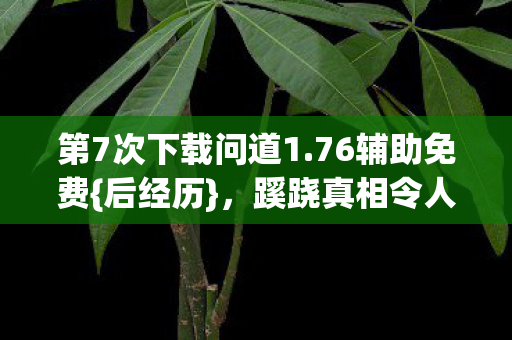 第7次下载问道1图片