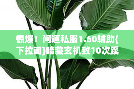 暗藏玄机致10次蹊跷封号图片