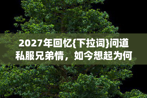 如今想起为何心酸图片