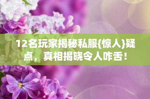 12名玩家揭秘私服图片