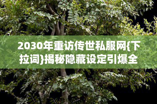 2030年重访传世私服网图片