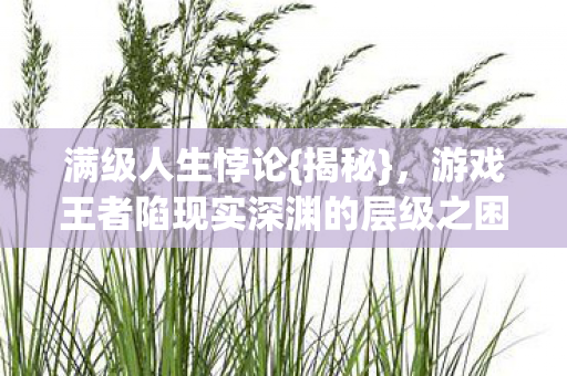 游戏王者陷现实深渊的层级之困图片