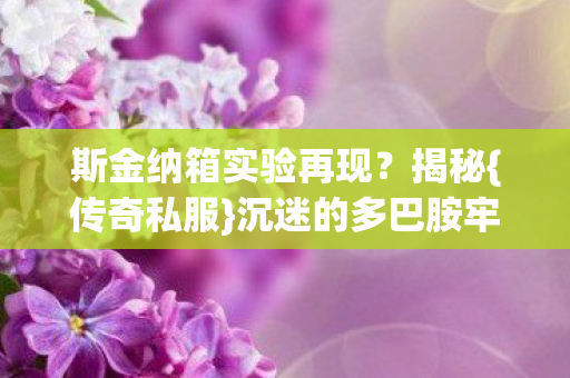 斯金纳箱实验再现图片