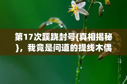 我竟是问道的提线木偶图片