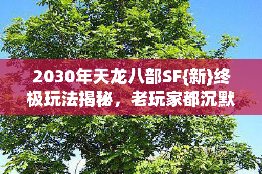 2030年天龙八部SF图片