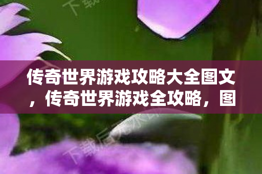 传奇世界游戏攻略大全图文,传奇世界游戏全攻略,图文详解 传奇世界游戏攻略大全图文,传奇世界游戏全攻略,图文详解