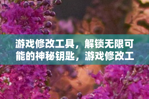 游戏修改工具,解锁无限可能的神秘钥匙,游戏修改工具,解锁无限可能的神秘钥匙 游戏修改工具,解锁无限可能的神秘钥匙,游戏修改工具,解锁无限可能的神秘钥匙