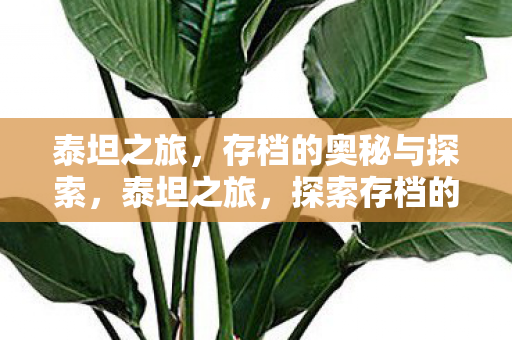 泰坦之旅，存档的奥秘与探索，泰坦之旅，探索存档的奥秘之旅