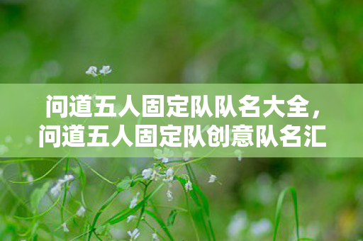 问道五人固定队队名大全,问道五人固定队创意队名汇总 问道五人固定队队名大全,问道五人固定队创意队名汇总