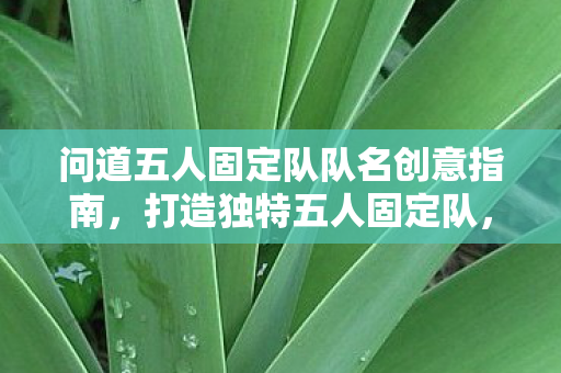 问道五人固定队队名创意指南,打造独特五人固定队,问道队名创意指南 问道五人固定队队名创意指南,打造独特五人固定队,问道队名创意指南