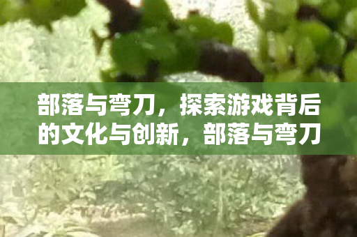 部落与弯刀,探索游戏背后的文化与创新,部落与弯刀,探索游戏背后的文化与创新之旅 部落与弯刀,探索游戏背后的文化与创新,部落与弯刀,探索游戏背后的文化与创新之旅