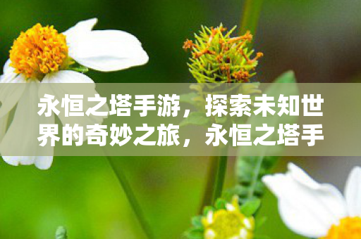 永恒之塔手游,探索未知世界的奇妙之旅,永恒之塔手游,探索未知世界的奇妙冒险之旅 永恒之塔手游,探索未知世界的奇妙之旅,永恒之塔手游,探索未知世界的奇妙冒险之旅