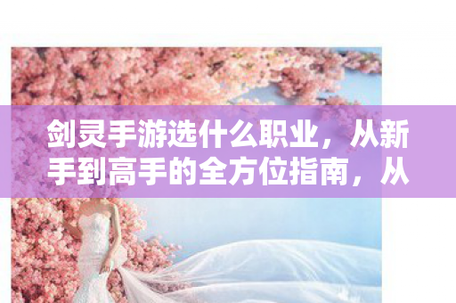 剑灵手游选什么职业,从新手到高手的全方位指南,从新手到高手,全方位指南教你如何选择剑灵手游职业 剑灵手游选什么职业,从新手到高手的全方位指南,从新手到高手,全方位指南教你如何选择剑灵手游职业