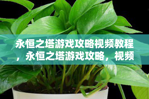 永恒之塔游戏攻略视频教程图片