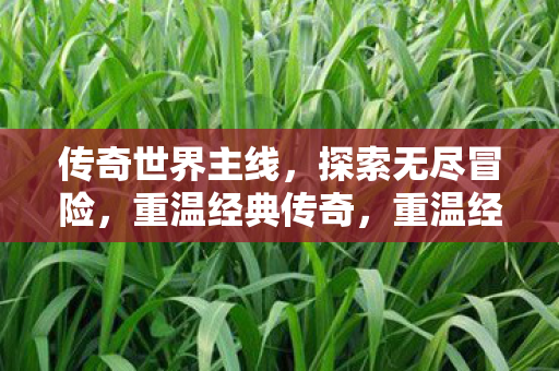 传奇世界主线,探索无尽冒险,重温经典传奇,重温经典传奇,探索传奇世界主线,开启无尽冒险之旅 传奇世界主线,探索无尽冒险,重温经典传奇,重温经典传奇,探索传奇世界主线,开启无尽冒险之旅
