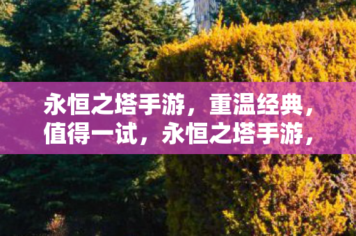 永恒之塔手游,重温经典,值得一试,永恒之塔手游,重温经典,不容错过的手游体验 永恒之塔手游,重温经典,值得一试,永恒之塔手游,重温经典,不容错过的手游体验