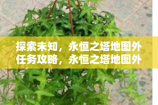 探索未知,永恒之塔地图外任务攻略,永恒之塔地图外任务攻略,探索未知之旅 探索未知,永恒之塔地图外任务攻略,永恒之塔地图外任务攻略,探索未知之旅