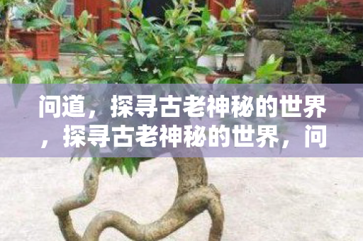 问道,探寻古老神秘的世界,探寻古老神秘的世界,问道之旅 问道,探寻古老神秘的世界,探寻古老神秘的世界,问道之旅