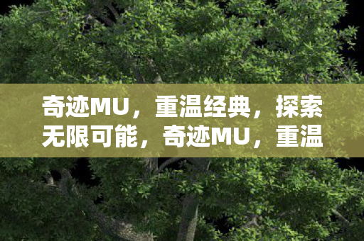 奇迹MU,重温经典,探索无限可能,奇迹MU,重温经典,探索无限可能 奇迹MU,重温经典,探索无限可能,奇迹MU,重温经典,探索无限可能