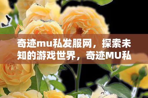 奇迹mu私发服网,探索未知的游戏世界,奇迹MU私服网,探索未知的游戏世界 奇迹mu私发服网,探索未知的游戏世界,奇迹MU私服网,探索未知的游戏世界