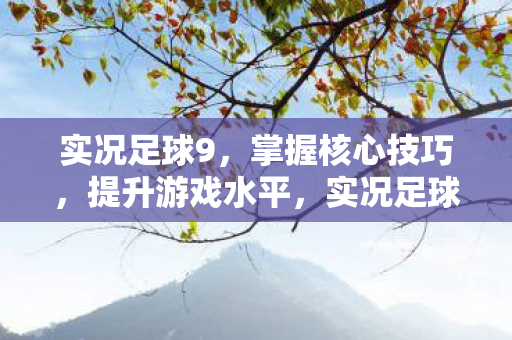 实况足球9，掌握核心技巧，提升游戏水平，实况足球9，掌握核心技巧，提升游戏水平