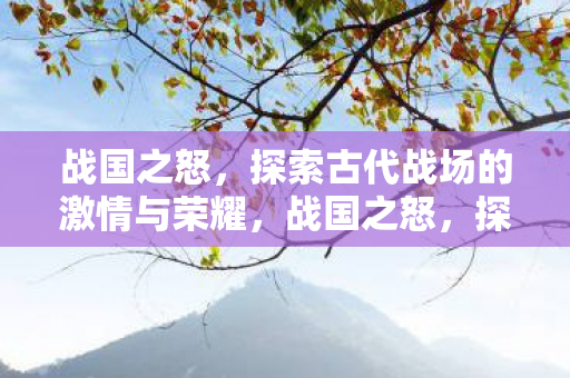 战国之怒，探索古代战场的激情与荣耀，战国之怒，探索古代战场的激情与荣耀