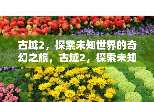 古域2，探索未知世界的奇幻之旅，古域2，探索未知世界的奇幻冒险之旅