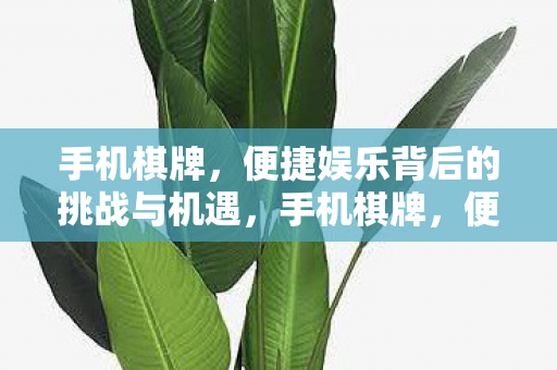 手机棋牌,便捷娱乐背后的挑战与机遇,手机棋牌,便捷娱乐背后的挑战与机遇 手机棋牌,便捷娱乐背后的挑战与机遇,手机棋牌,便捷娱乐背后的挑战与机遇