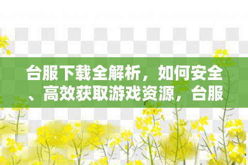 台服下载全解析，如何安全、高效获取游戏资源，台服游戏下载全攻略，安全高效获取游戏资源