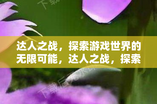 达人之战，探索游戏世界的无限可能，达人之战，探索游戏世界的无限可能