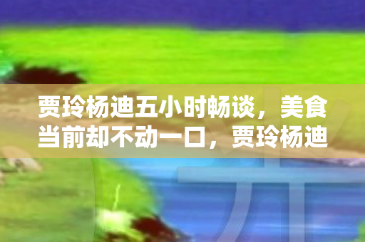贾玲杨迪五小时畅谈,美食当前却不动一口,贾玲杨迪五小时畅谈,美食当前却不动一口,究竟为何? 贾玲杨迪五小时畅谈,美食当前却不动一口,贾玲杨迪五小时畅谈,美食当前却不动一口,究竟为何?